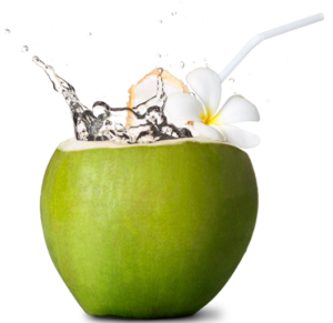 Coco-verde-beneficios-e-maleficios